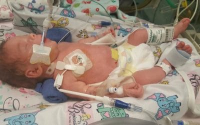Update on Willow McPherson