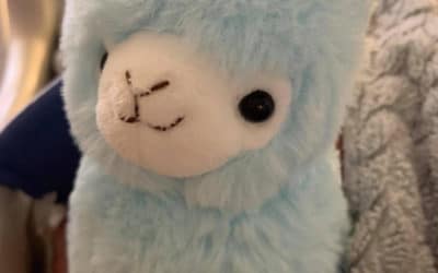 Update on Jasper (11-13-21)