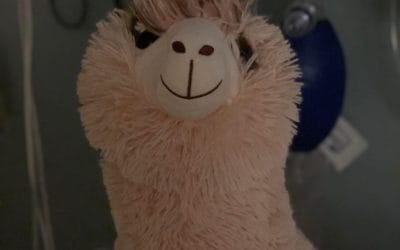 Update on Jasper (12-13-21)