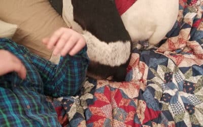 Update on Cory Hipp (1-22-23)