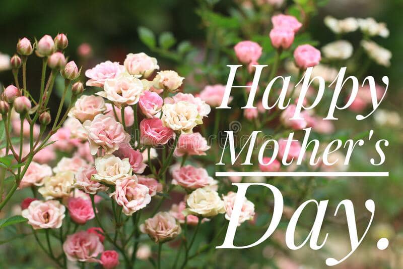 mother day