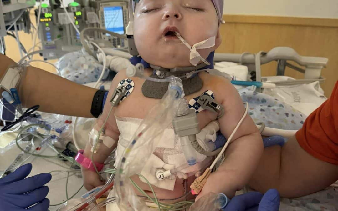 4/19 11:00 AM Update on Kylie