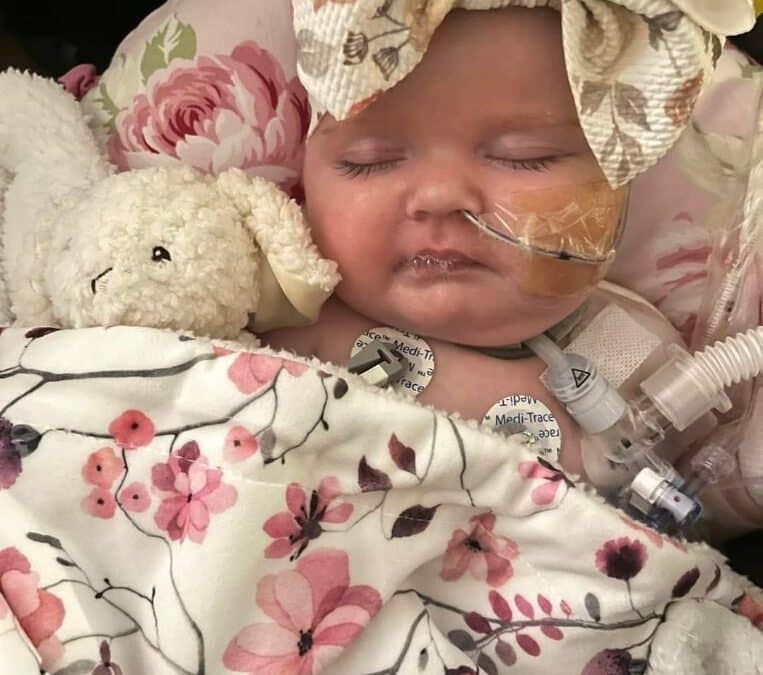 Meet Kylie Brooke!