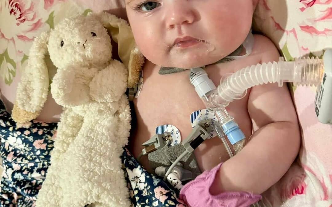 Update on Kylie (3/25/24)