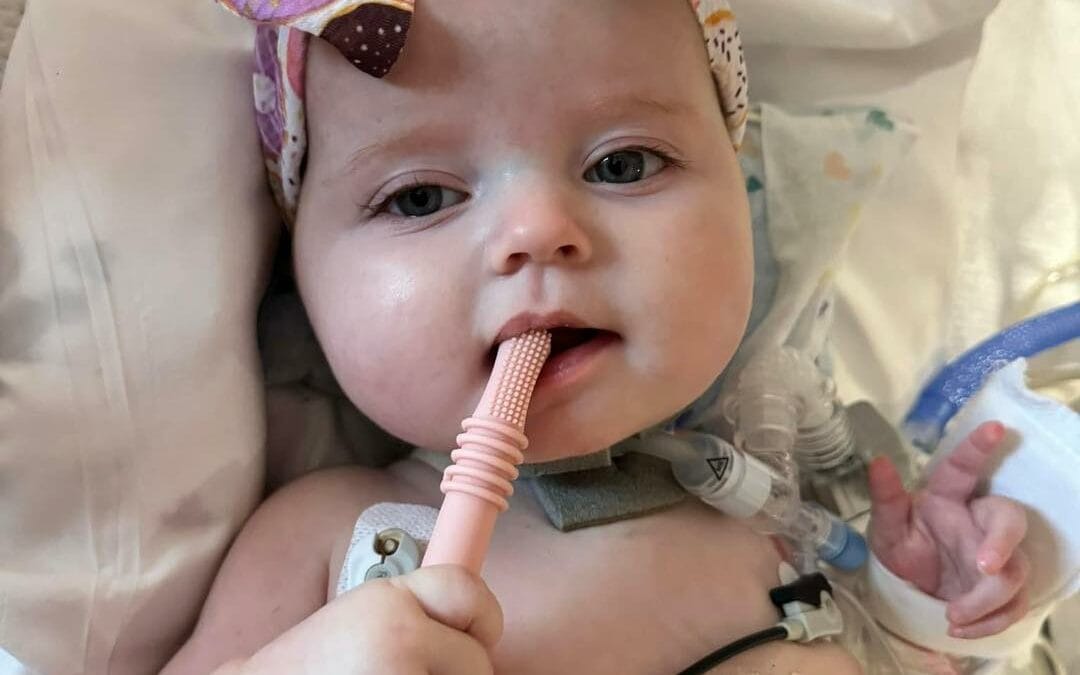 4/26 Kylie Update