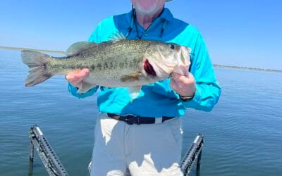 8/1 Robin Rutherford Update