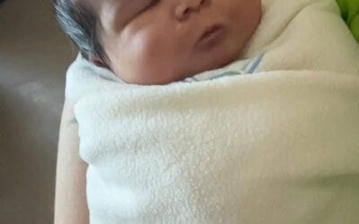 Meet, 6 Week Old, A.J.!