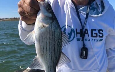 1/9 Keith Winters Update