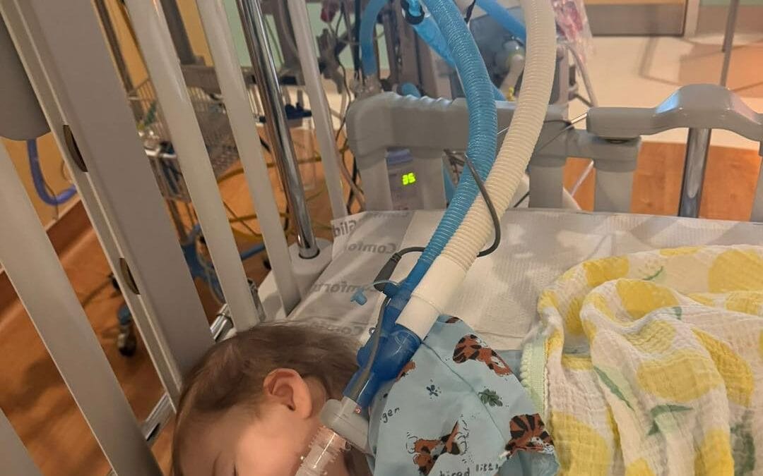 2/24 Update on Kylie