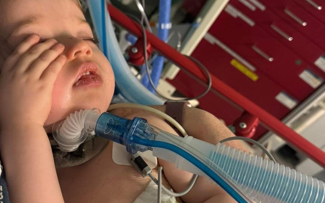 3/19 3rd Update on Kylie